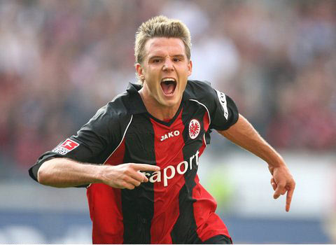 双子星展示 双子星展示